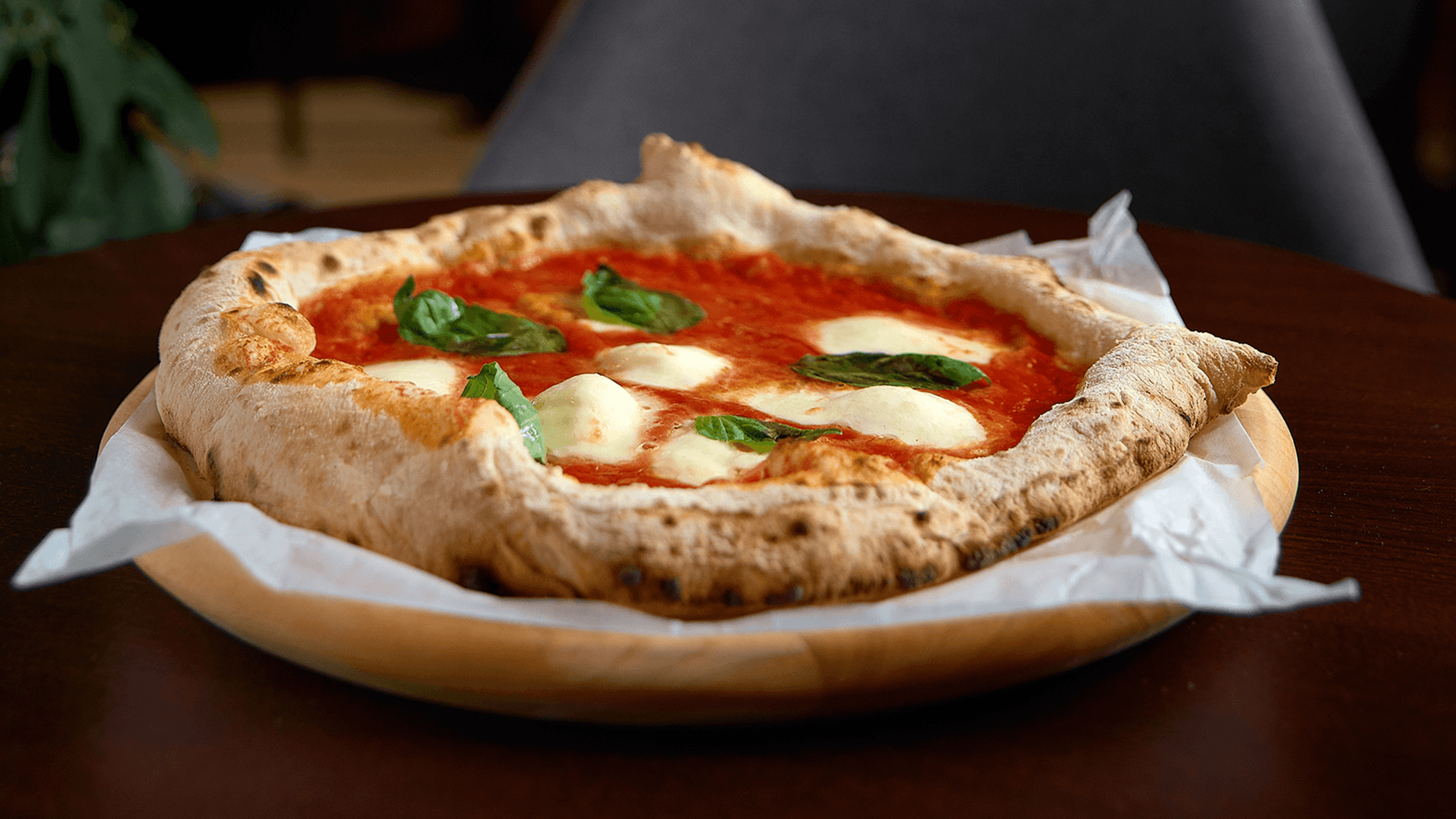 Ayla’s Pizza | Salzhausen